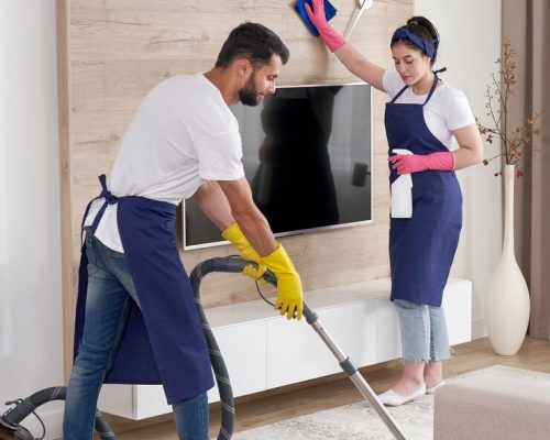 professional-cleaning-service-team-cleans-living-room-modern-apartment_130111-3700